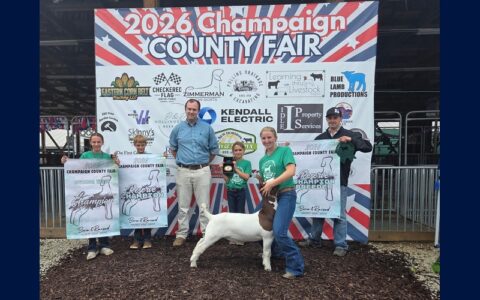 Reserve Champion Lola Rice