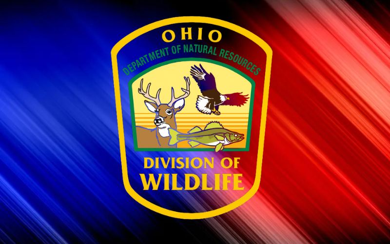 Ohio’s 2024-25 Hunting and Trapping Seasons Approved