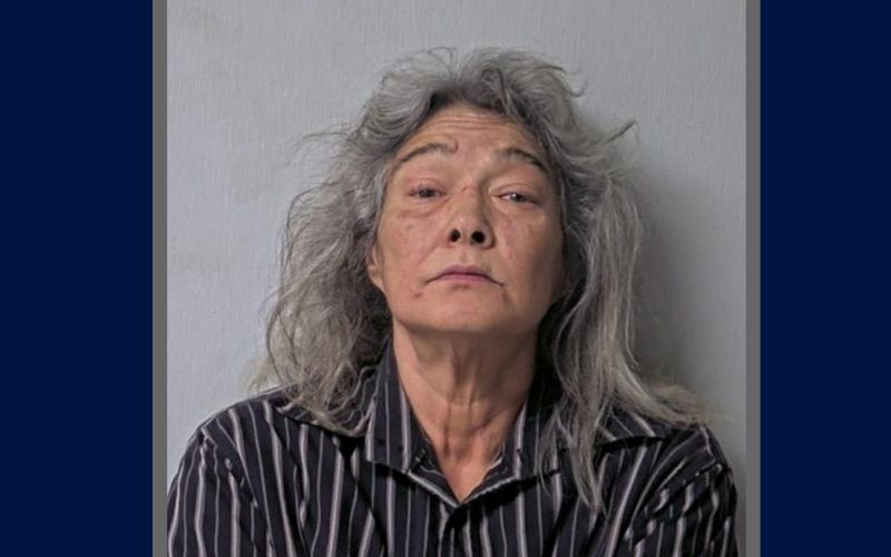 Local Woman Lodged for Domestic Violence