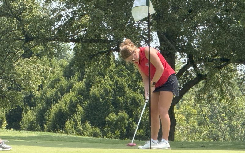 Riverside struggles as Mechanicsburg dominates on the green