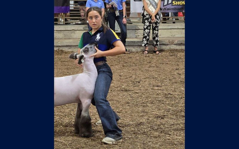 Shroyer tops 2025 Ohio State Fair Market Lamb Show