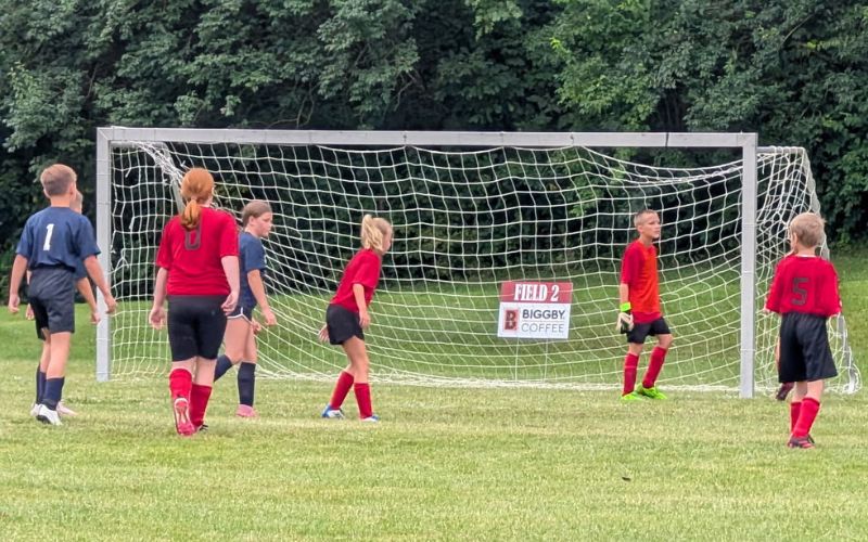 Royer Realty tops Beacon Hill Advisory in 11U matchup