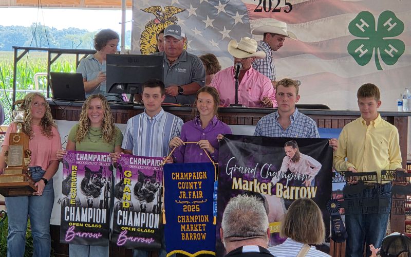 Astorino family’s hogs bring top dollar at market swine sale