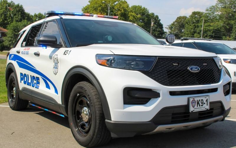 Police respond to domestic violence; Suspect arrested