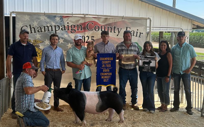 Hodge named 2025 Grand Champion Market Gilt