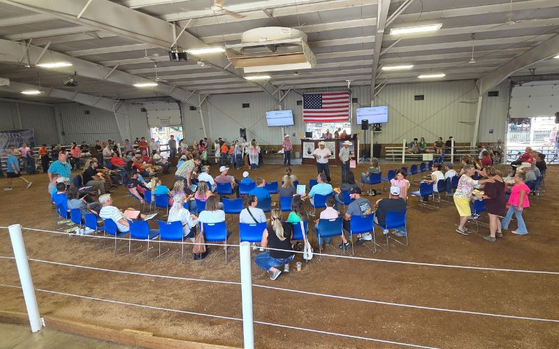 Bidders flock to livestock auction at Champaign County Fair