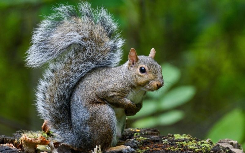 September marks the start of Ohio’s fall hunting seasons