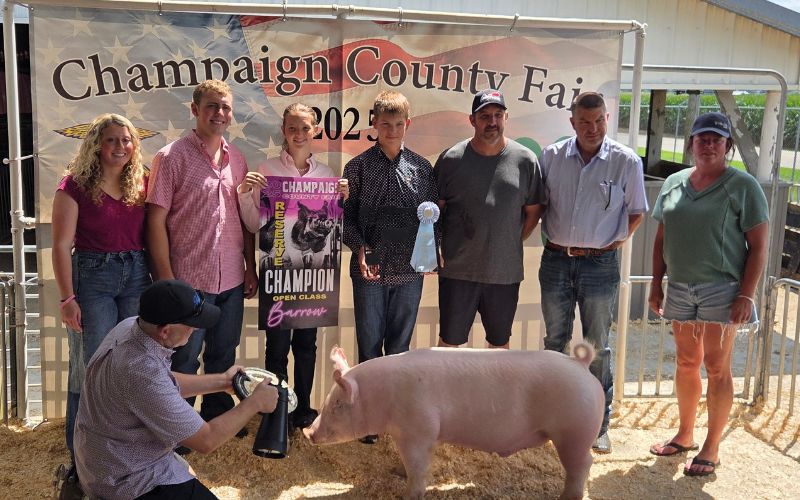 Hogging the Spotlight: Astorino sweeps major awards at Open Class Barrow Show