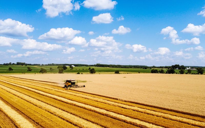 Farmland prices climb again, but growth starts to ease