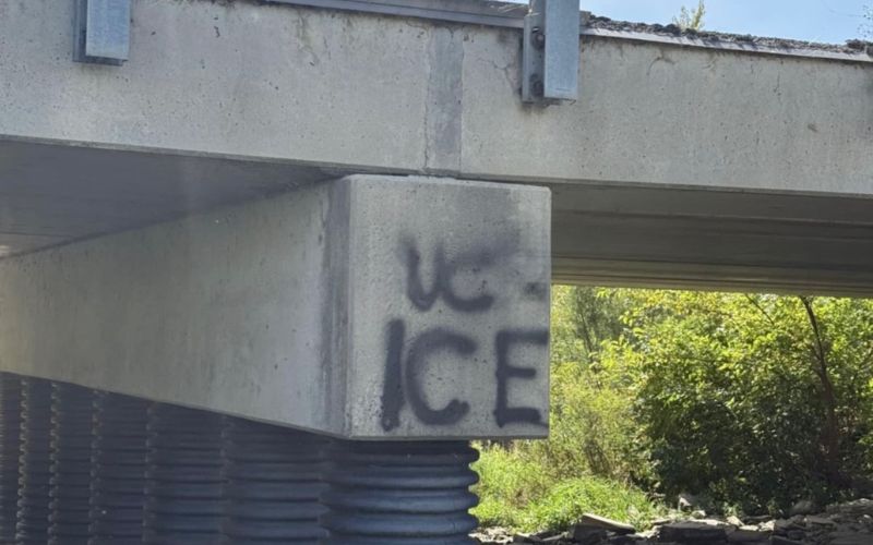 Politically-motivated graffiti lands woman in jail