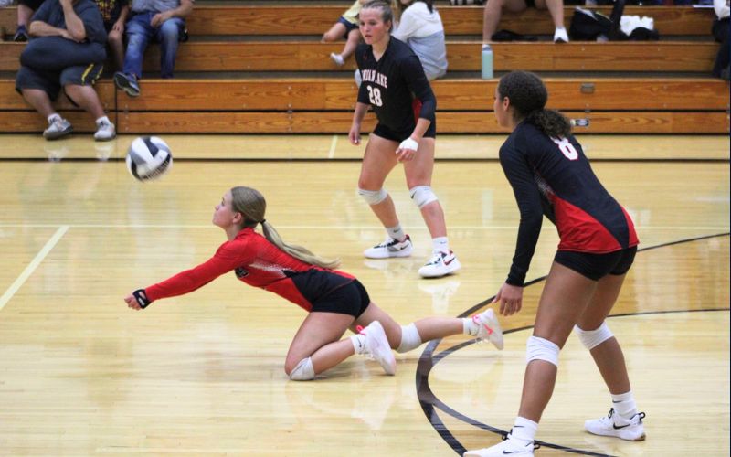 Lady Lakers win tight 5-set dual over Lady Trojans; more local volleyball finals