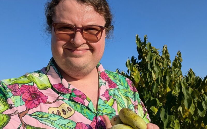 From seed to success: Russells Point grower harvests first crop of Ohio’s native Pawpaw