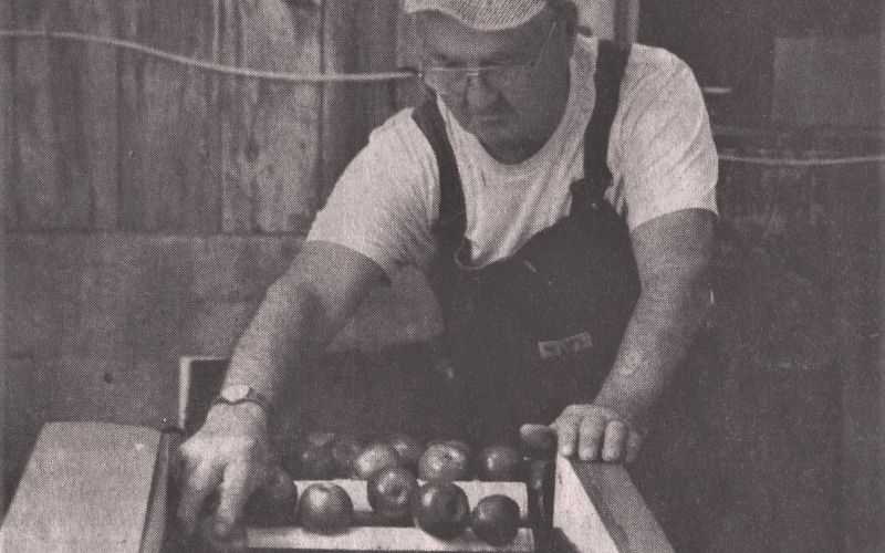 Logan County history: Apple orchards