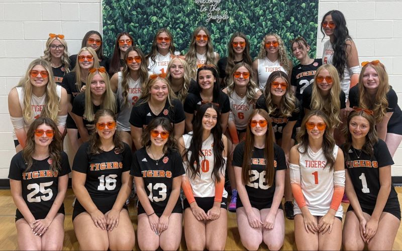 WL-S dominates Valley View to advance in OHSAA volleyball tourney