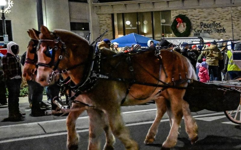 Urbana Holiday Horse Parade canceled due to virus concerns
