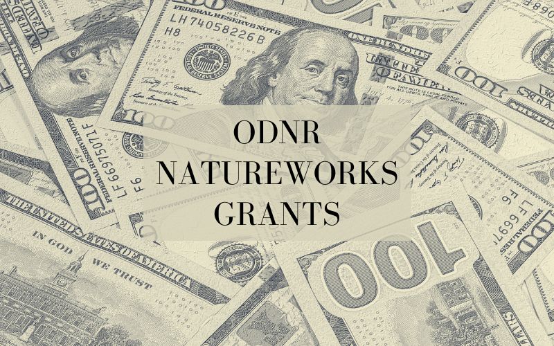 Lakeview receives funding as part of ODNR NatureWorks grants